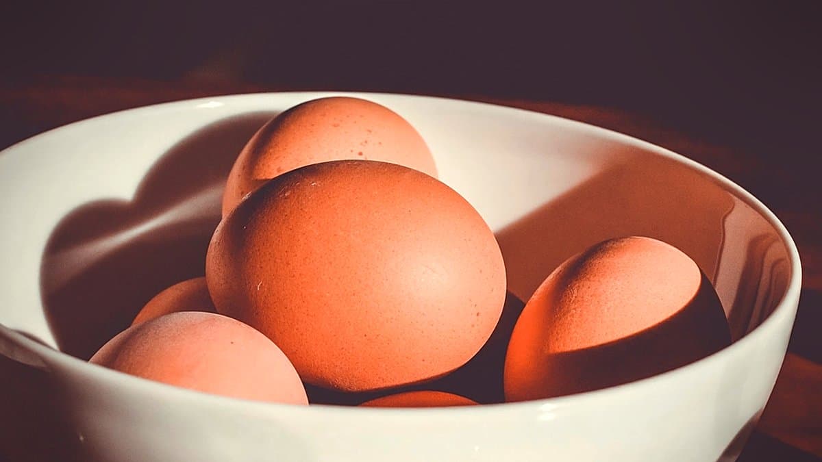 Cartón de huevos frescos en el lineal de supermercado con etiqueta de precio, iluminación natural clara