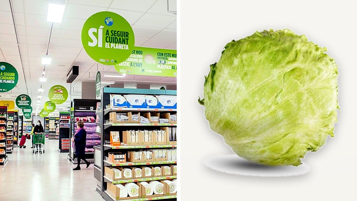 Lechuga iceberg fresca en estantería de supermercado con gotas de agua e iluminación de productor.