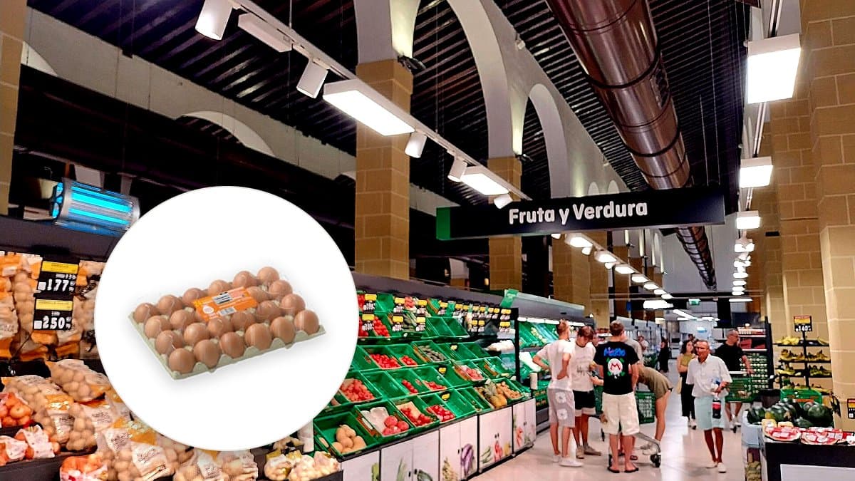 Bandeja abierta de huevos marrones de diferentes tamaños en el lineal de Mercadona, con etiqueta de precio y calibre visible