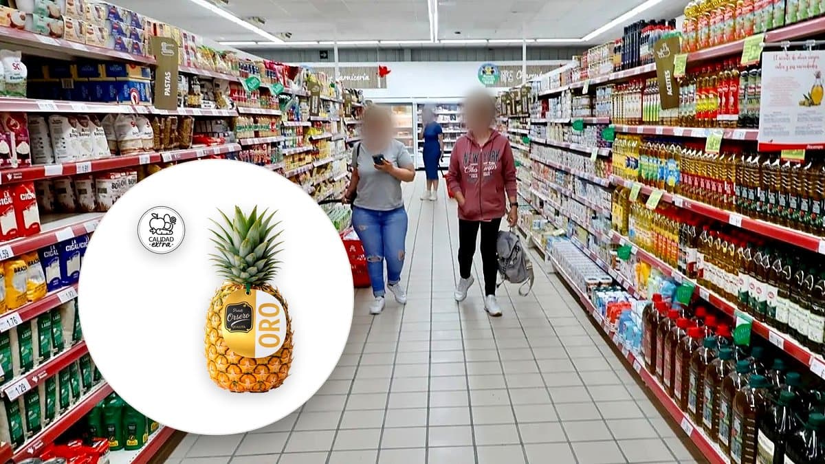 Sección de frescos de supermercado con carne, congelados y charcutería en vitrinas, iluminación cinematográfica
