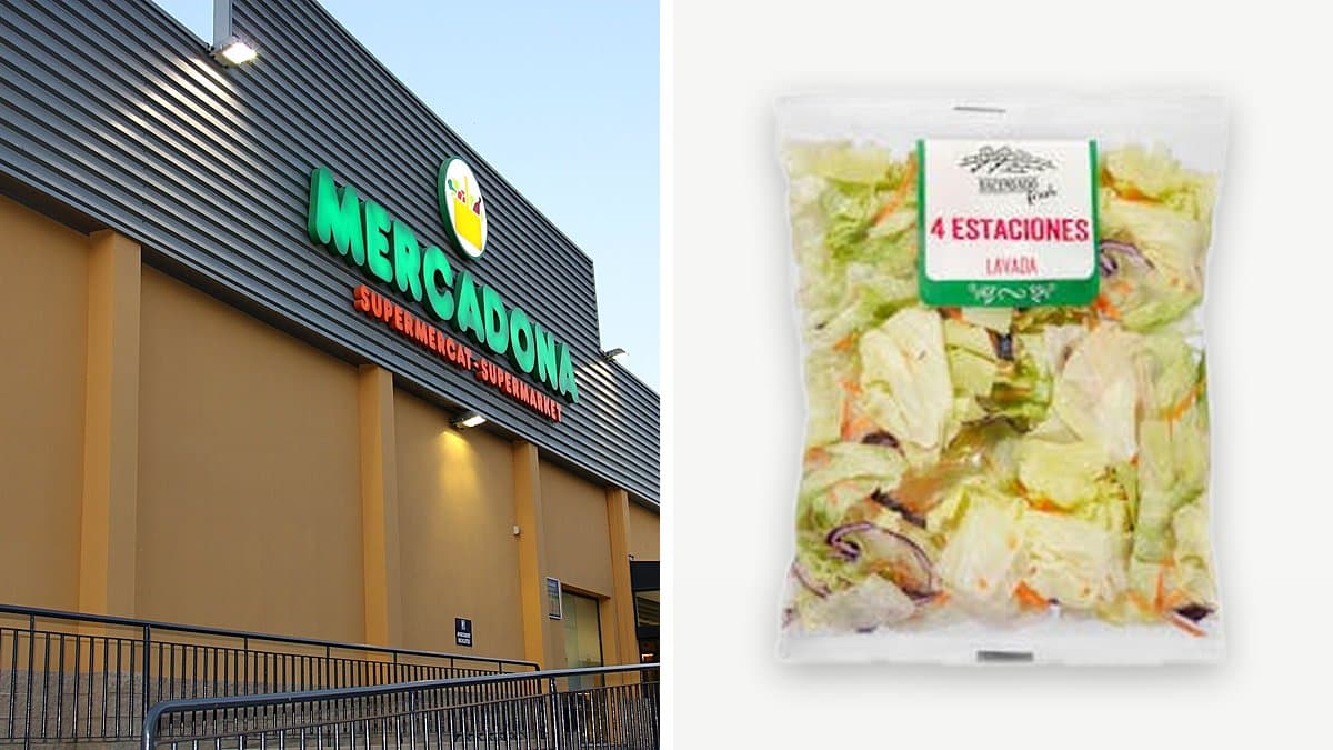 Bolsa de ensalada mezcla en mesa de verano, lechuga fresca con gotas de agua, iluminación natural suave.