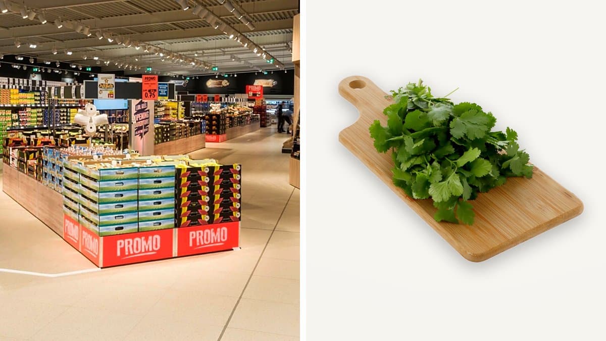 Recibo de compra alargado sobre mesa de cocina junto a bolsa con compra a medio desempacar, bajo luz natural de ventana matinal