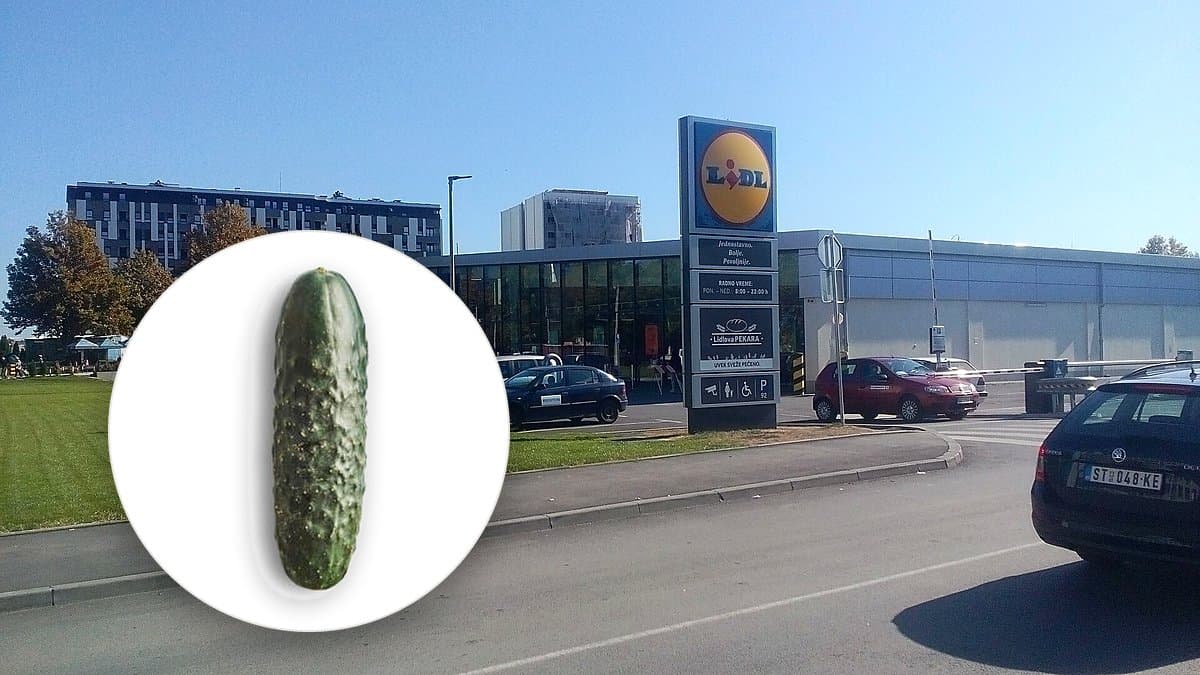 Pepinos frescos apilados en el lineál de verdura de Lidl con gotas de agua, cartel de precio visible