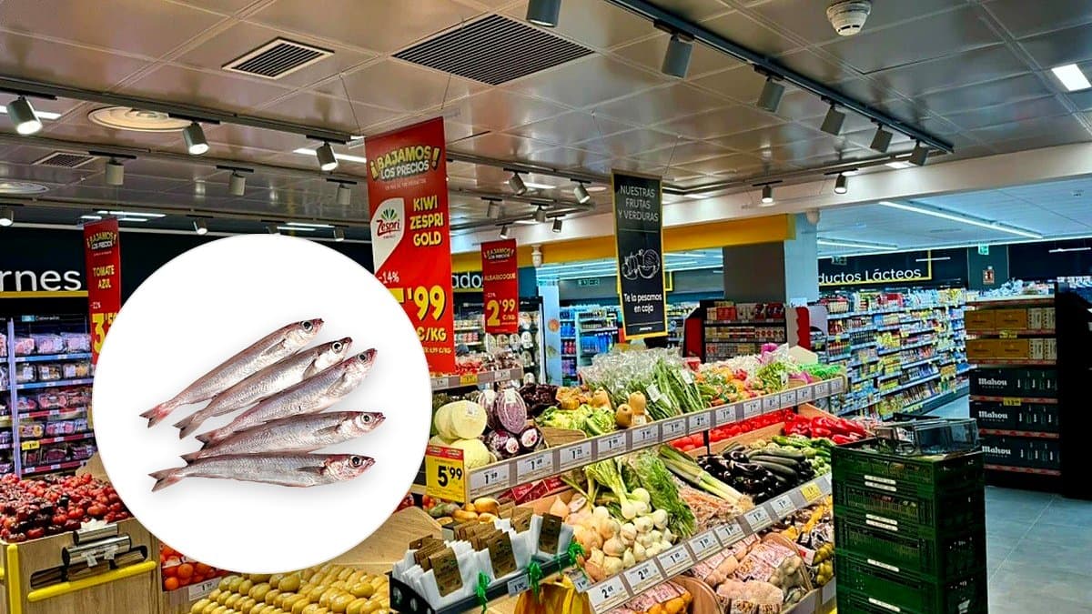 Detalle de etiqueta de supermercado mostrando precio por kilo en letra pequeña, mano de cliente