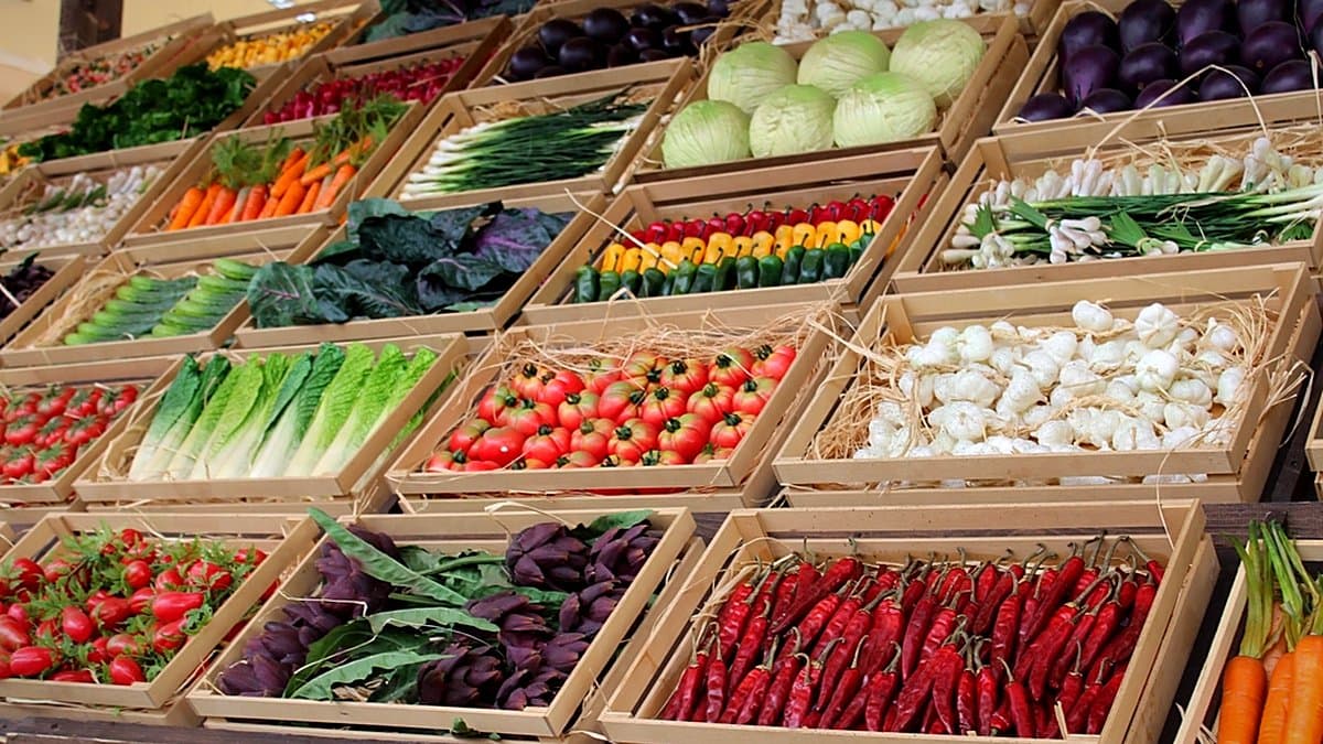 Manos de una persona leyendo atentamente la lista de ingredientes en la parte trasera de un envase de producto alimentario en el supermercado.