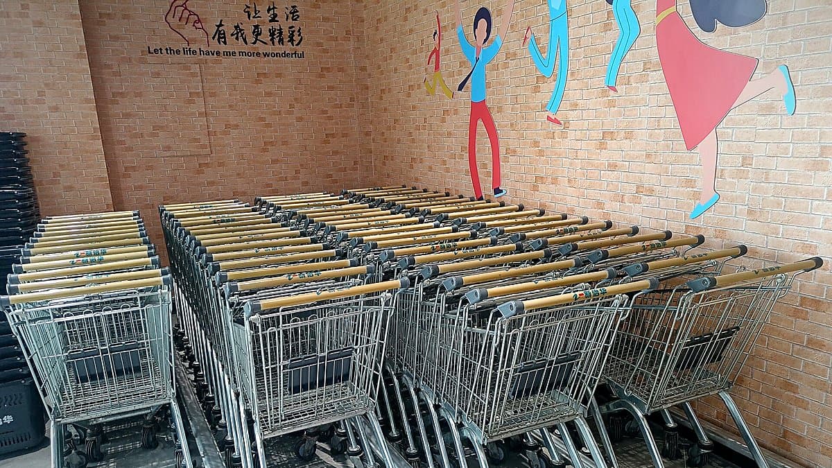 Persona recibiendo bolsas de compra en la puerta de casa, repartidor de Mercadona con cajas de envío