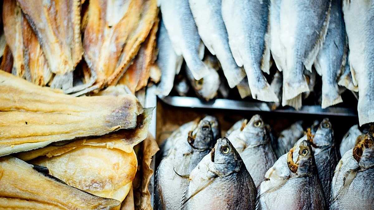 Filete de pescado fresco en hielo en el mostrador y bolsa de pescado congelado en el congelador
