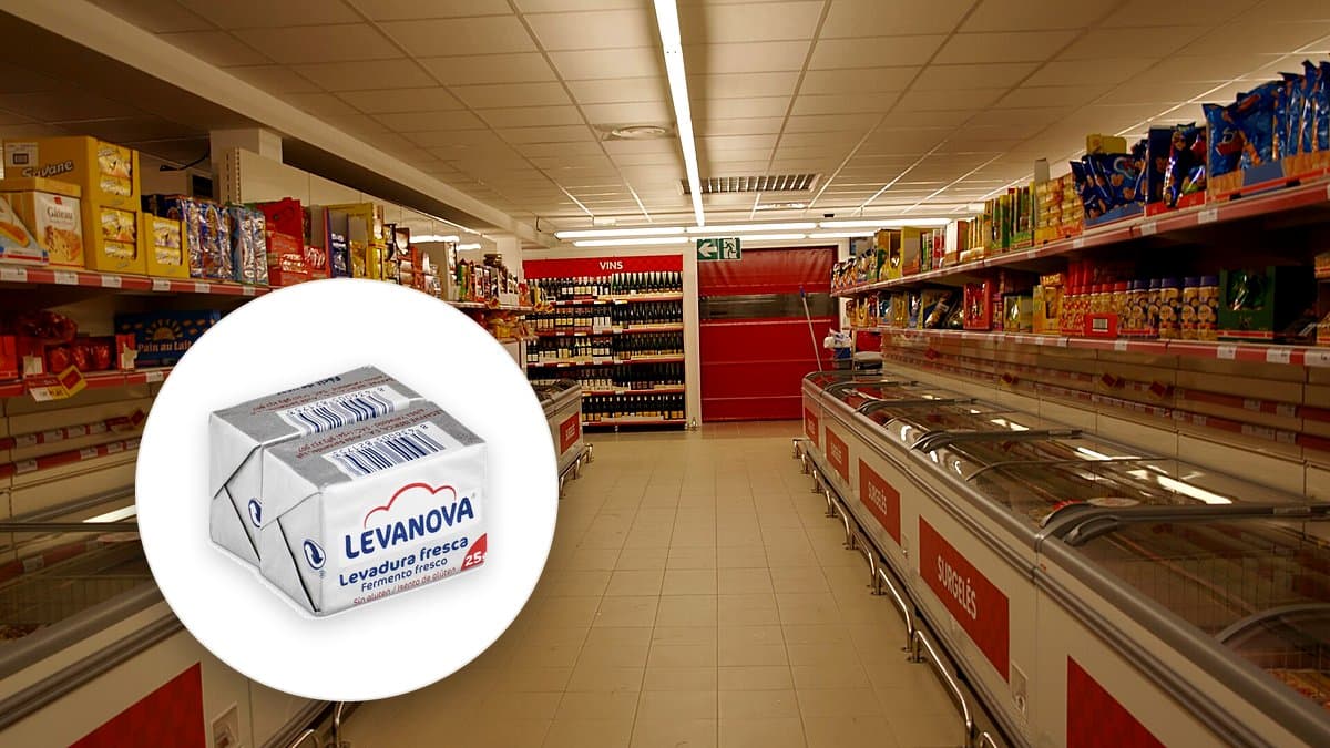 Dos bloques de levadura fresca y masa de pan en fermentación sobre superficie enharinada con luz matinal