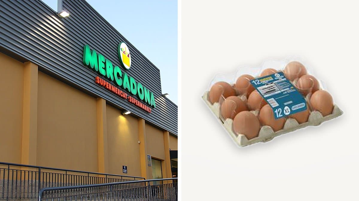 Cartón de huevos frescos en la sección de lácteos de supermercado