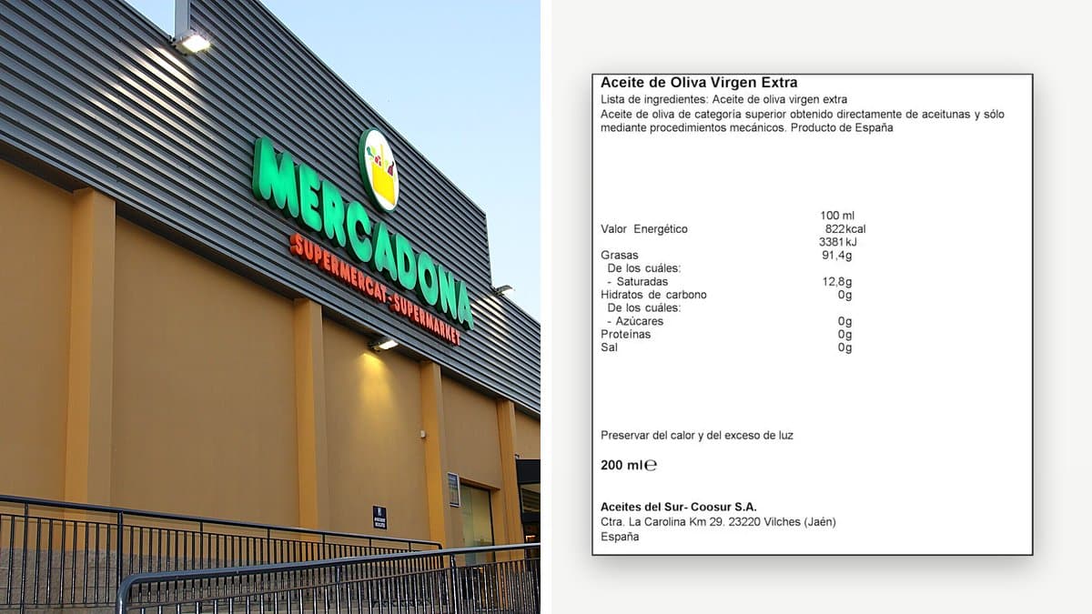 Botellas de aceite virgen extra en estantería de supermercado con frondoso olivar de fondo en otoño