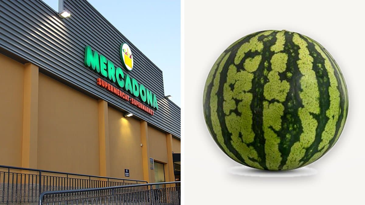 Cesta de compra llena de productos de otoño en lineal de supermercado español mientras una compradora verifica precios en estante