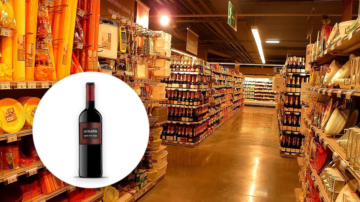 Botella de vino tinto La Planta D.O. Ribiera del Duero sobre mesa de madera con copas de vino y luz cálida de otoño.