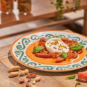 BURRATA DI STAGIONE — Ginos