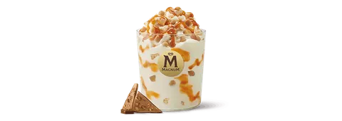 McFlurry Magnum Gold Caramel — McDonald's