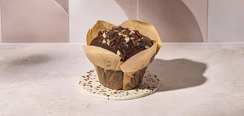 Tulipa choco avellana — Pans & Company