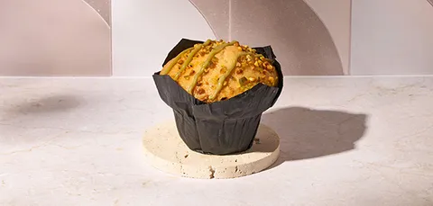 Tulipa pistacho — Pans & Company