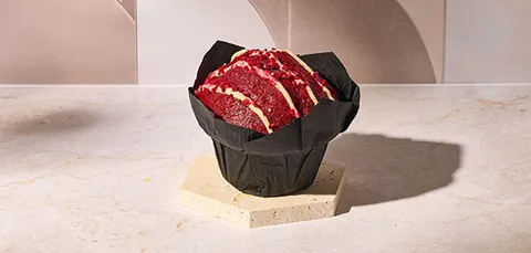 Tulipa red velvet — Pans & Company