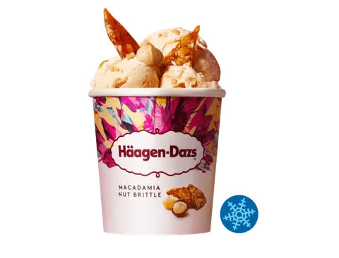 Macadamia Nut Brittle 460ml — Telepizza