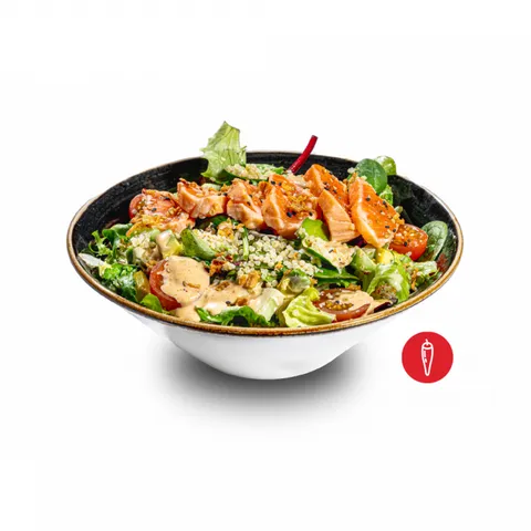 Salmon Quinoa Salad — UDON Asian Food
