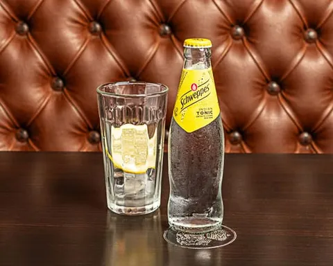 Schweppes Indian Tonic (25cl) — Au Bureau