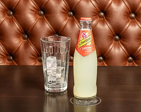 schweppes agrumes (25cl) — Au Bureau