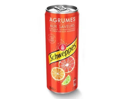 Schweppes Agrumes 33cl — Chicken Street