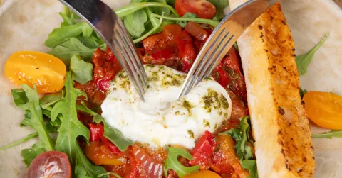 Burrata & légumes du soleil — Hippopotamus