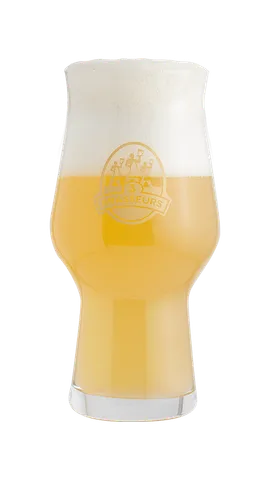 Blanche de Lille — Les 3 Brasseurs