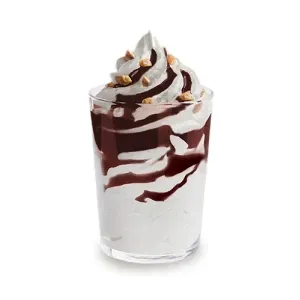 Grand Softy Gourmand Chocolat — Quick