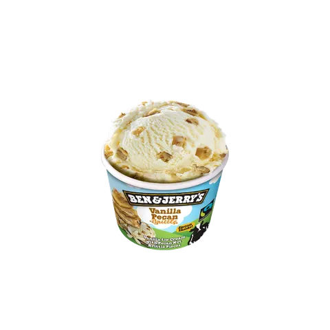 Ben & Jerry's Vanilla Pecan Blondie 100ml — Subway