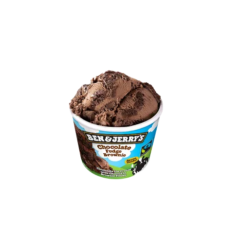 Ben & Jerry's Chocolate Fudge Brownie 100ml — Subway