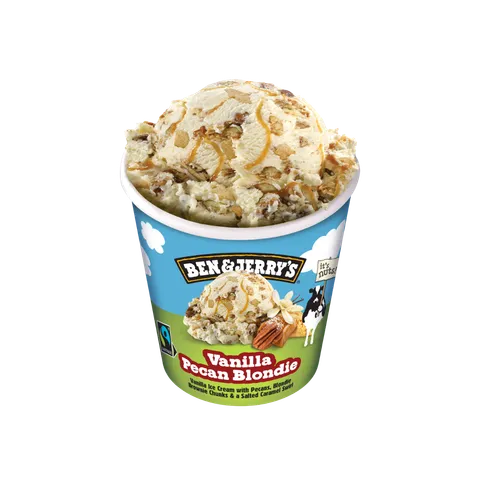 Ben & Jerry’s Vanilla Pecan Blondie 465ml — Subway
