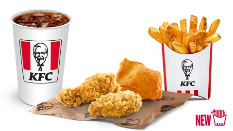 Menu 1 Pedaço + 2 Hotwings — KFC