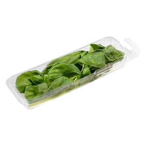 Albahaca