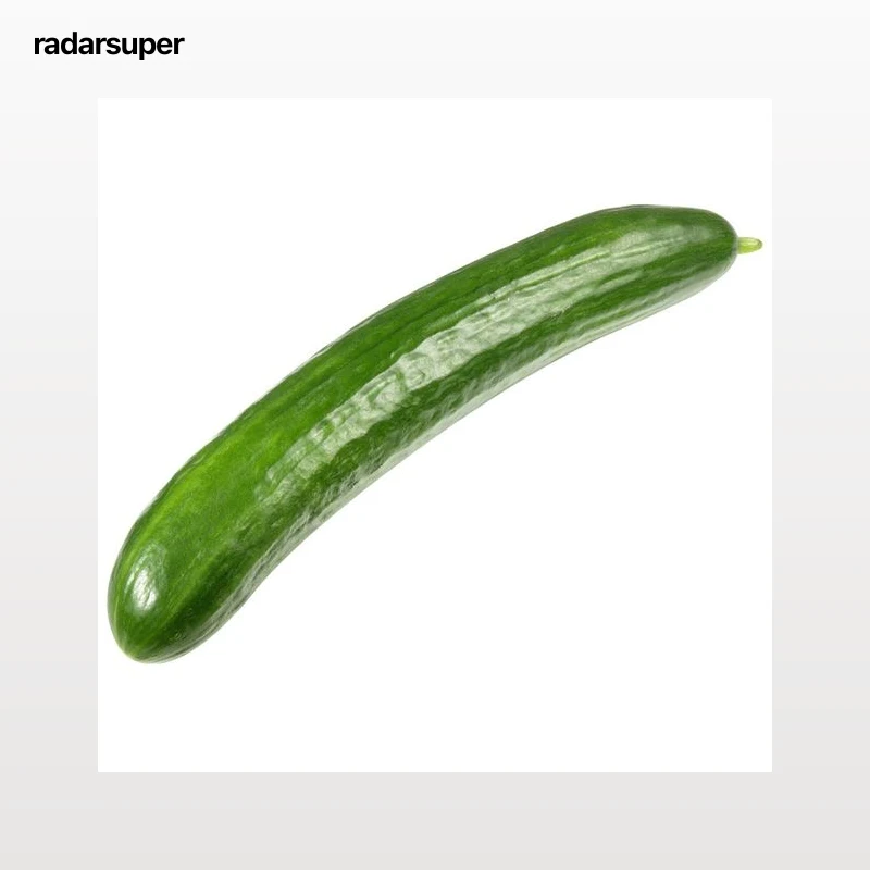 ALCAMPO CULTIVAMOS LO BUENO ECOLÓGICO Pepino ECO  700 gr.