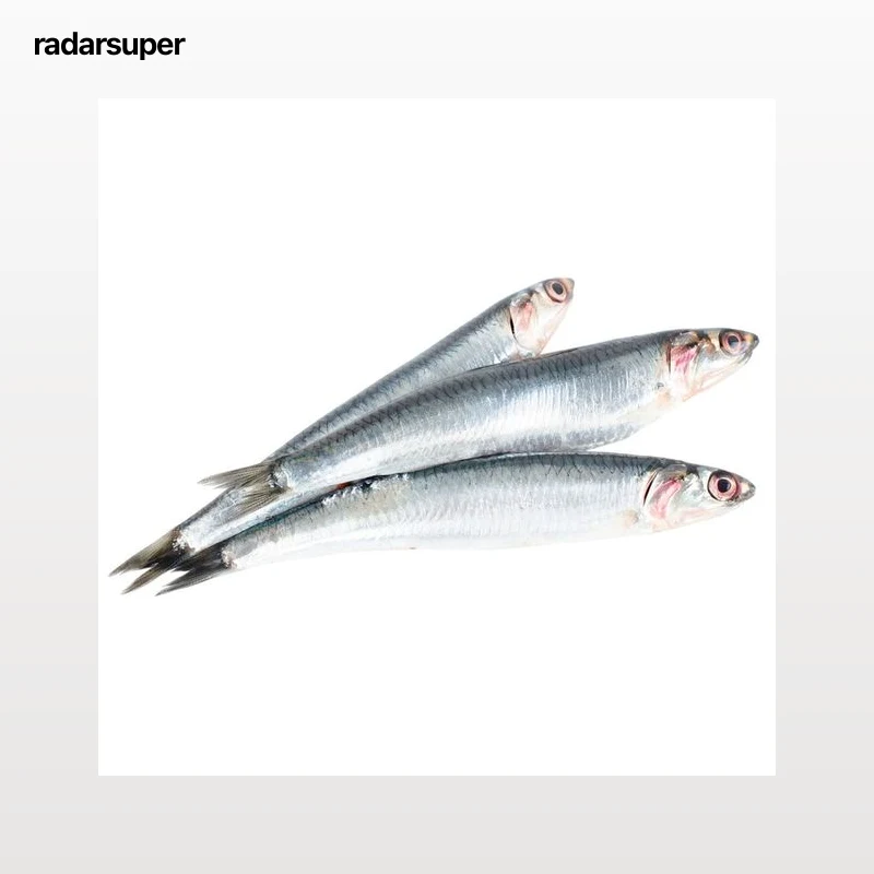 Anchoa mostrador.