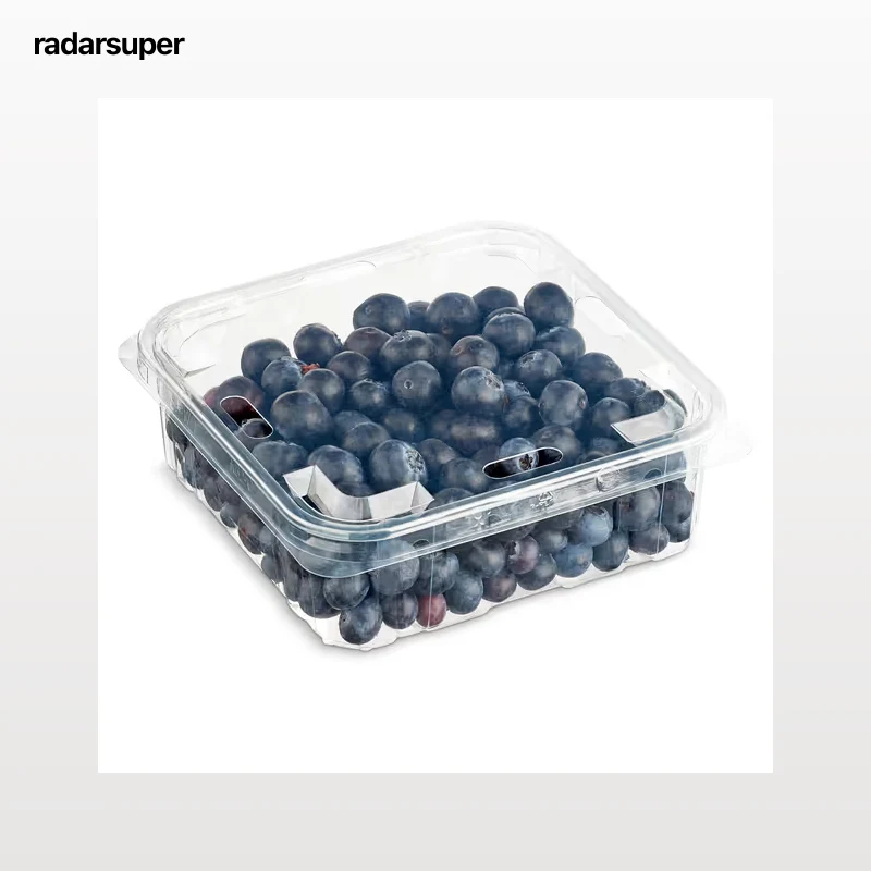 Arándanos 450 g