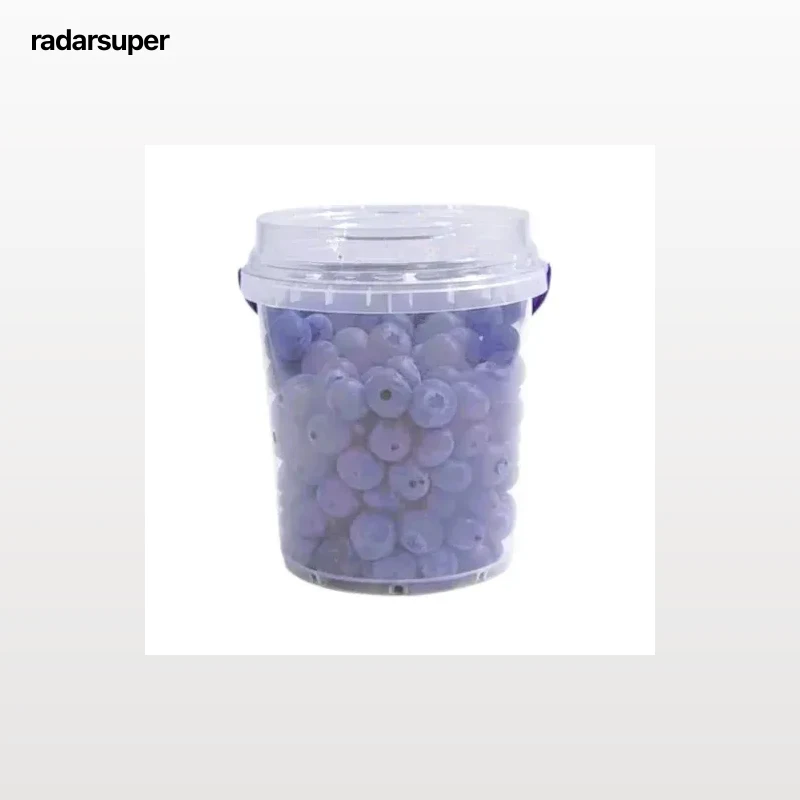Arándanos Carrefour 500 g