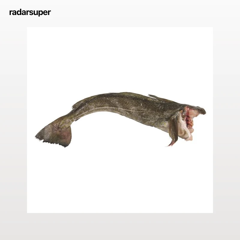 Bacalao mostrador
