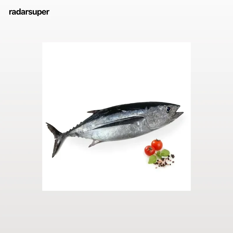 Bonito del Norte Mediano entero 5 kg aprox