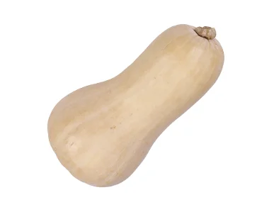 Calabaza