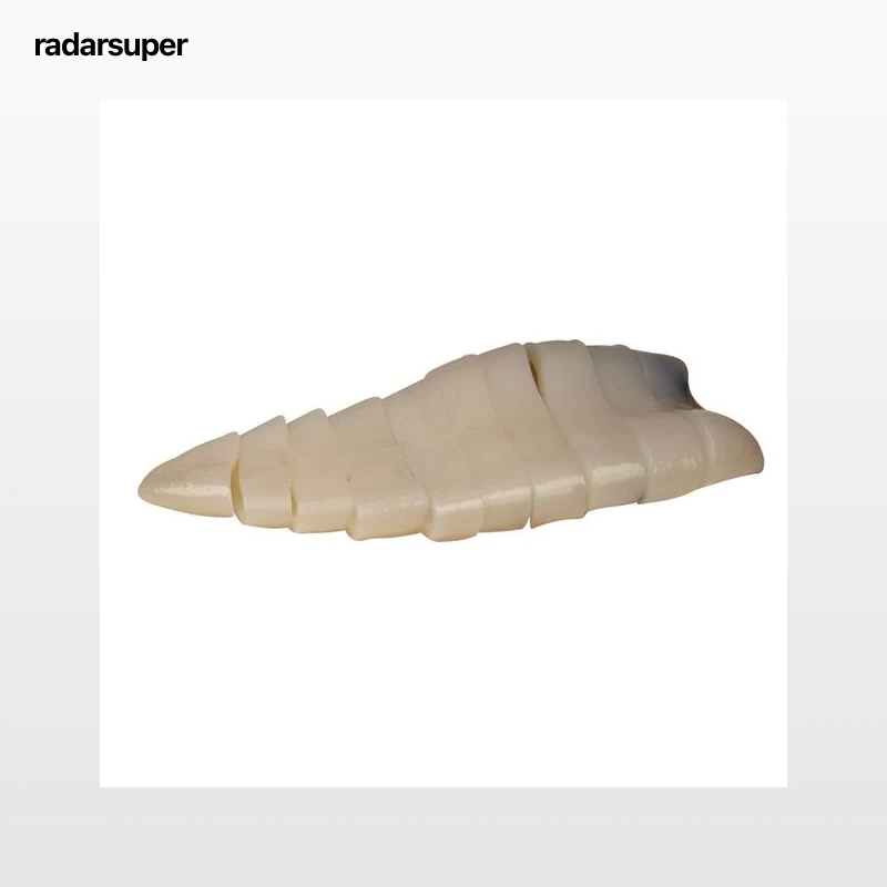 Calamar grande origen Sudáfrica - Rodajas