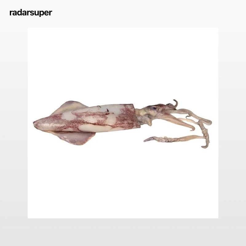 Calamar pequeño - Entero