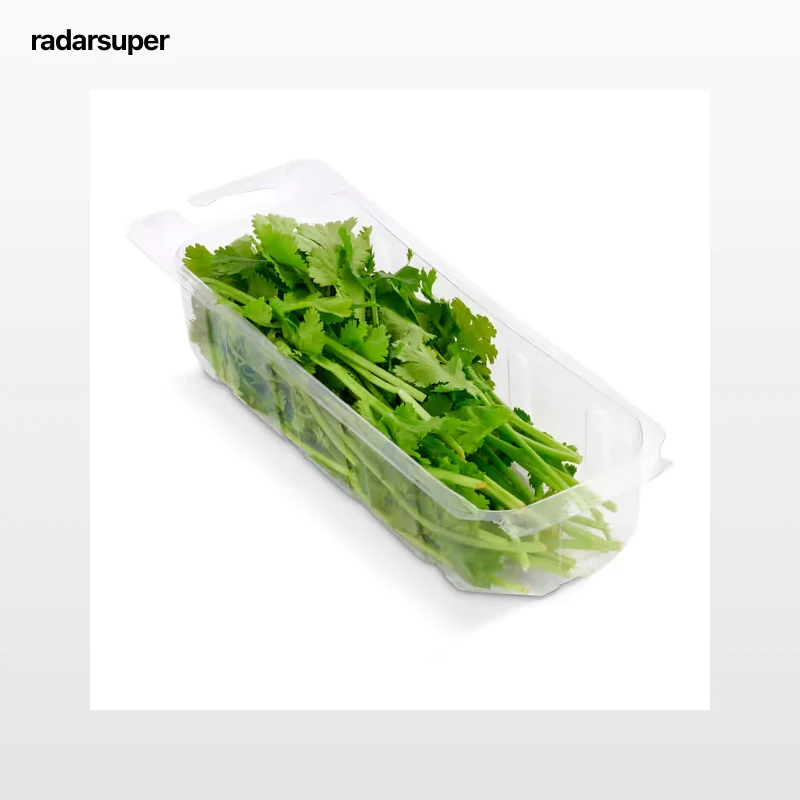 Cilantro 20 g
