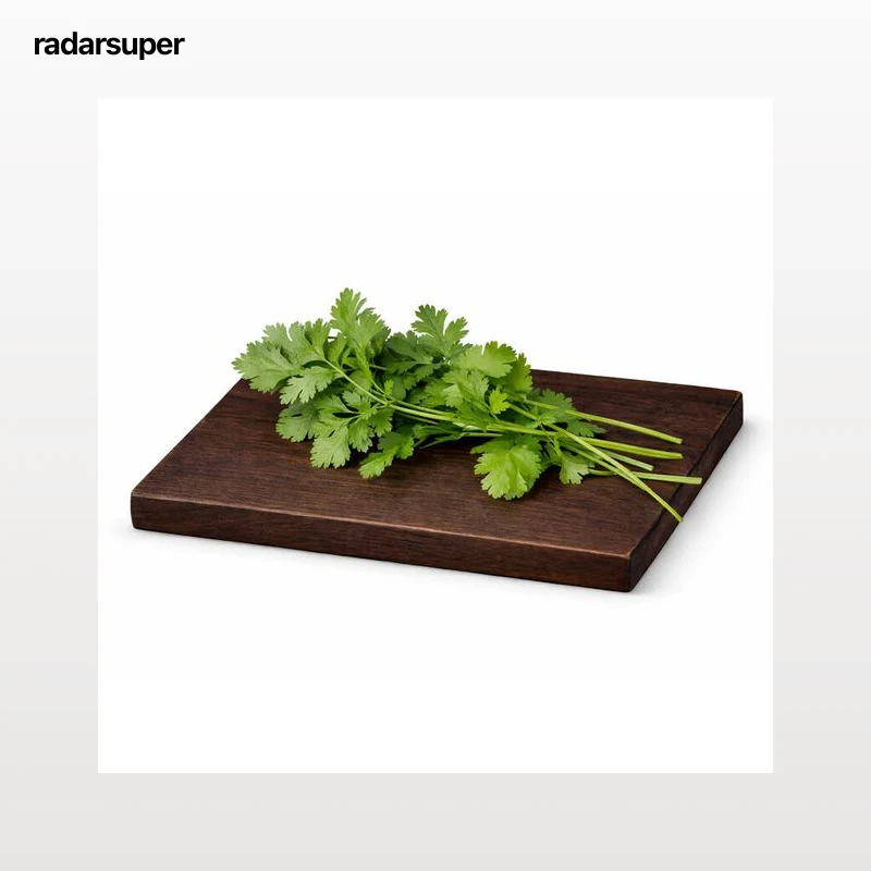 Cilantro bolsa 20g
