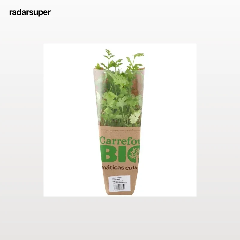 Cilantro ecológico Carrefour Bio maceta 1 ud