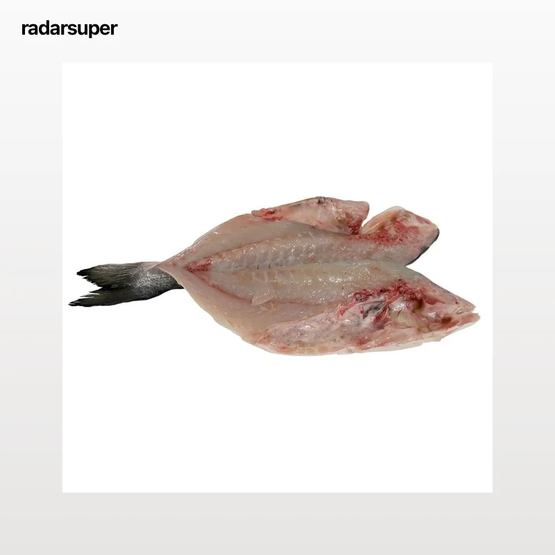 Dorada grande mostrador - Espalda con espinas
