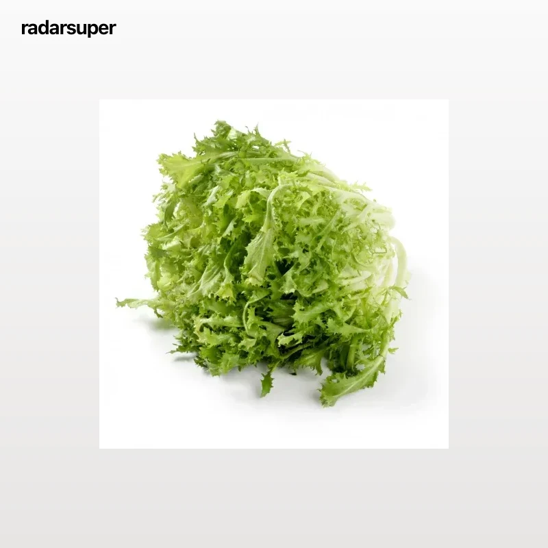 Escarola rizada 1 ud