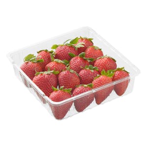 Fresón