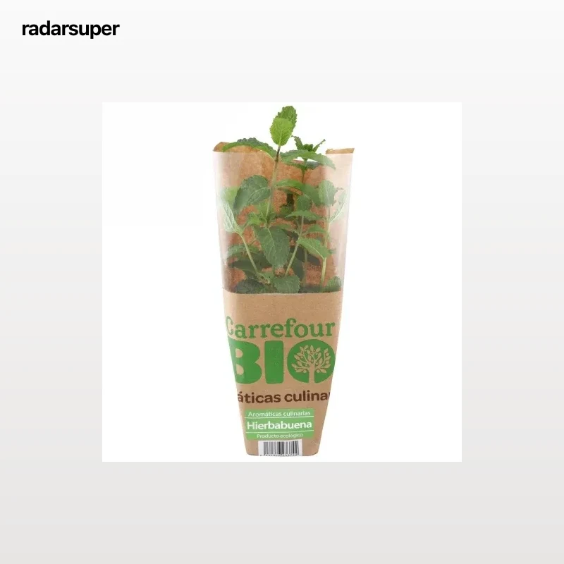 Hierbabuena ecológico Carrefour Bio maceta 1 ud